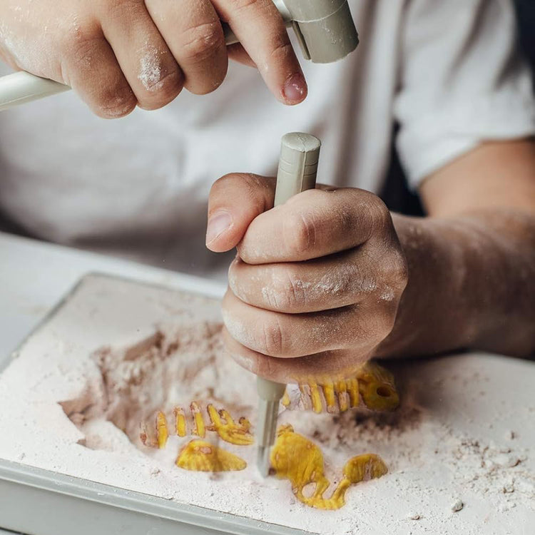Stegosaurus Fossil Excavation Kit for Kids