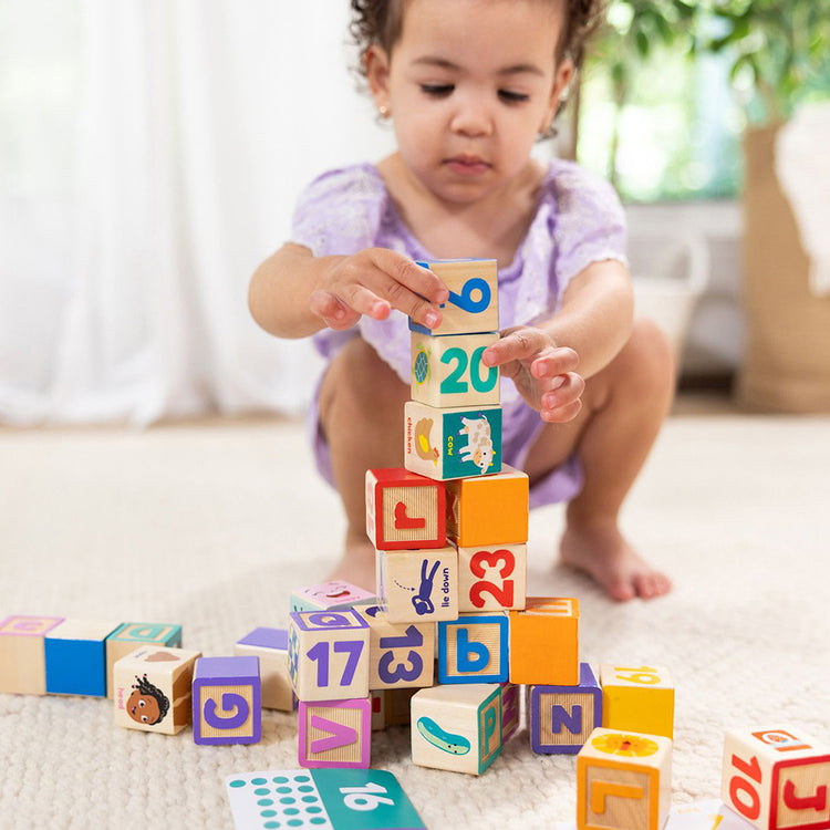 Ms. Rachel Wooden Learning Blocks Set