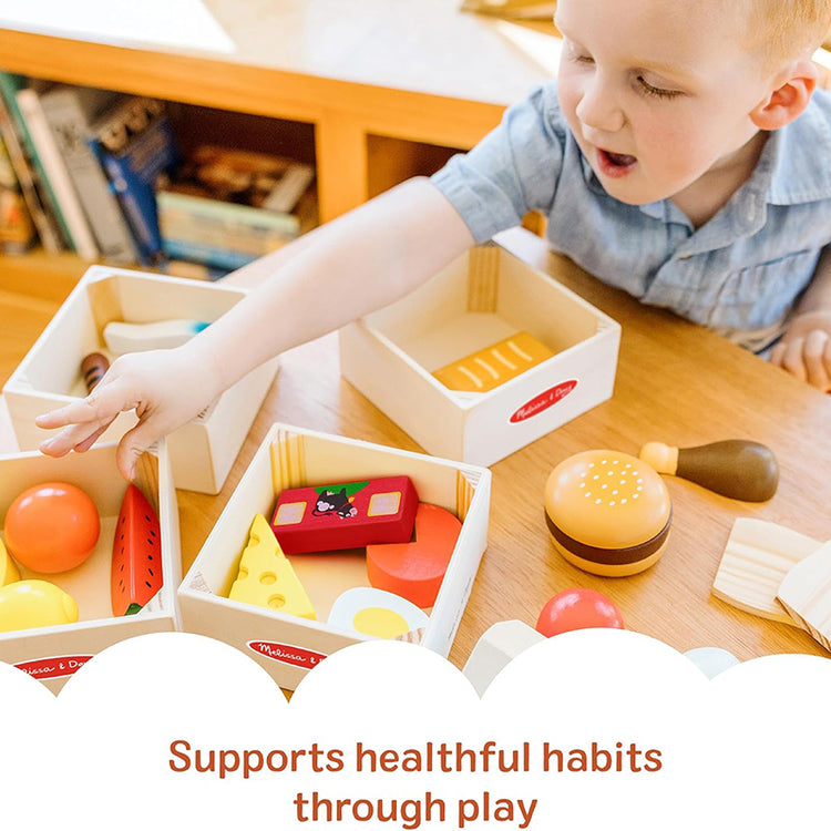Melissa & Doug Wooden Food Groups Set