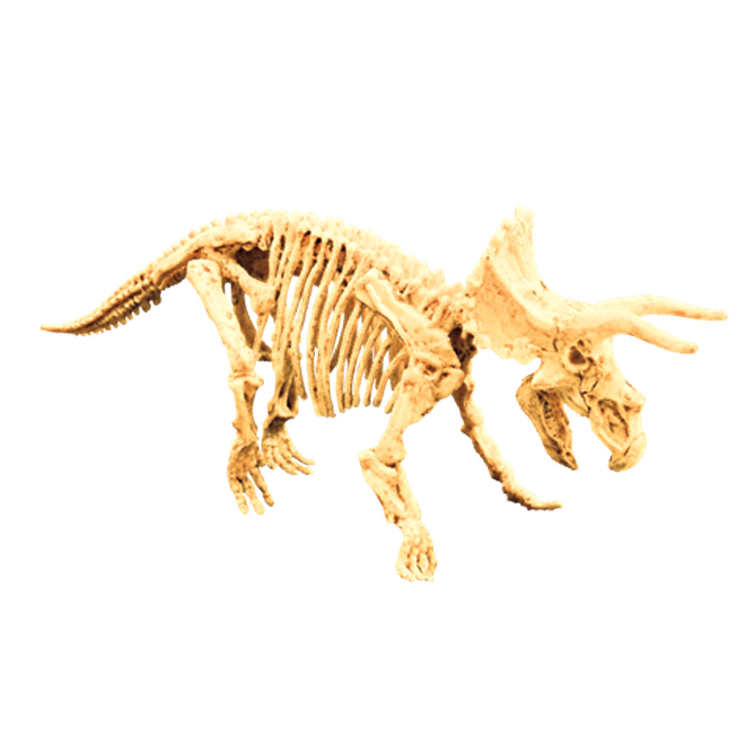 Triceratops Fossil Excavation Kit for Kids