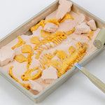 Stegosaurus Fossil Excavation Kit for Kids