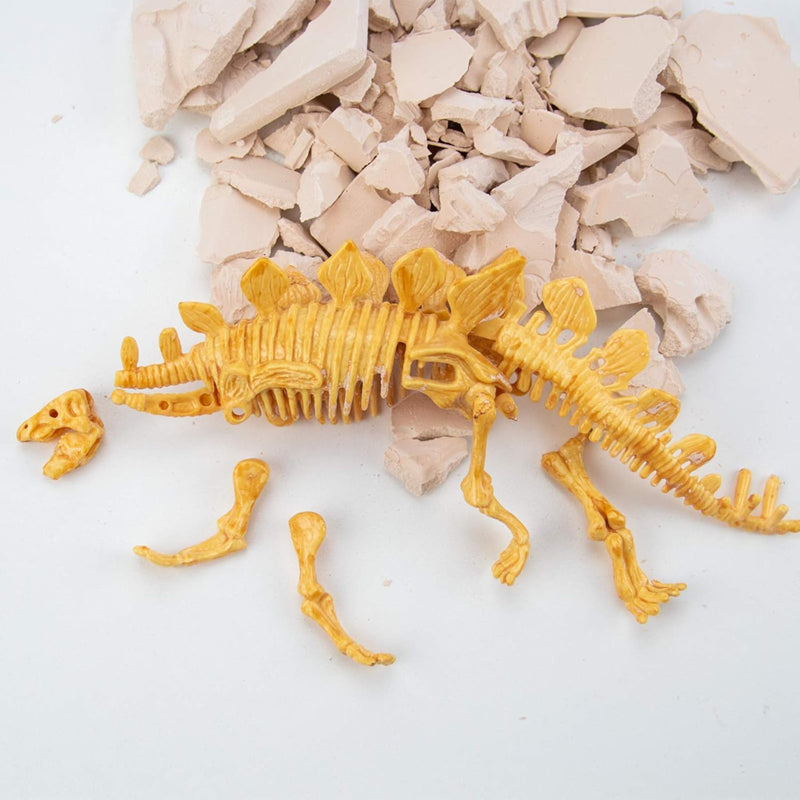 Stegosaurus Fossil Excavation Kit for Kids