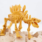 Stegosaurus Fossil Excavation Kit for Kids