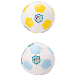 Bluey 5 withh Soft Ball (Assorted Colour)