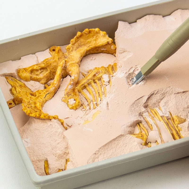 Triceratops Fossil Excavation Kit for Kids