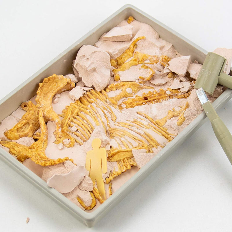 Triceratops Fossil Excavation Kit for Kids
